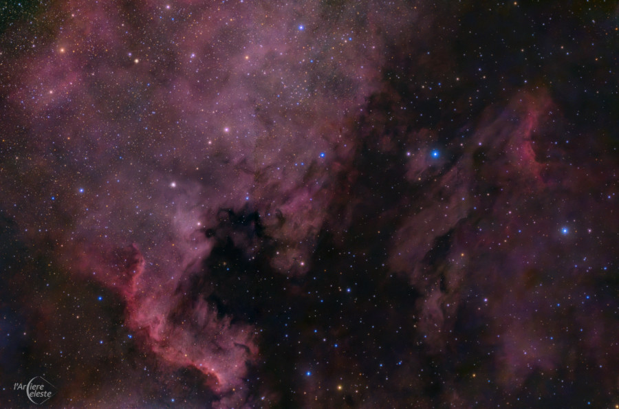 Mosaico delle nebulose Nord America e Pellicano ripreso col Seestar S30